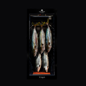 Dry Ager DX-1000 Premium S The Dry Age Guy Edition Dry Aging Fish